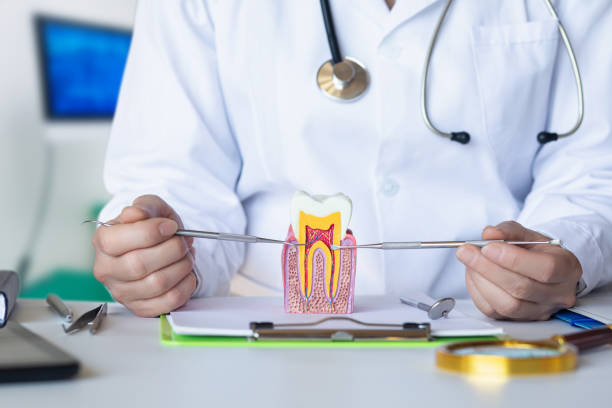 Best Emergency Tooth Extraction  in Chase City, VA